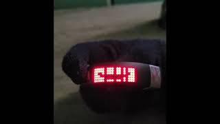 Weird Video on Minecraft Gameband [upl. by Ronoh278]