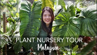 Plant Nursery Tour in Malaysia  Exotic Rare amp OVERSIZED Tropical Plants with 40 plant IDs [upl. by Aerdnaxela]