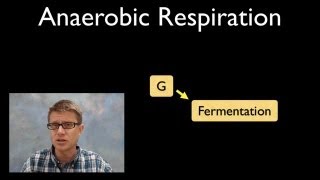 Anaerobic Respiration [upl. by Harbird]