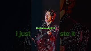 Harry Styles  Watermelon Sugar Lyrics [upl. by Gilliette]