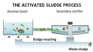 Activated sludge process and IFAS  Design rules  guideline [upl. by Adriel]