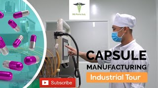 Capsules Manufacturing Process  Soft Gelatin Capsules [upl. by Ahsekahs]