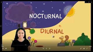 Nocturnal and Diurnal Animals  Grade 46 Science  T Ann [upl. by Batty347]