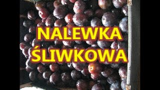 Nalewka Śliwkowa  prosta i rozgrzewająca [upl. by Tench]