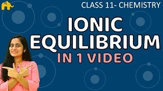 Ionic Equilibrium Chemistry Class 11 Chapter One Shot CBSE NEET JEE [upl. by Trojan]