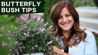 Butterfly Bush Care Tips  Garden Answer [upl. by Einalam558]