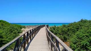 Playa de Muro Traumstrand mit Karibikflair bei Can Picafort und Alcudia Mallorca [upl. by Walworth]