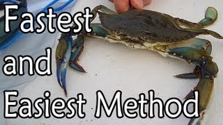 How to Clean a Blue Claw Crab [upl. by Ahs]