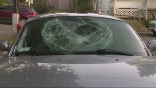 Car vandalism caught on camera [upl. by Estell]