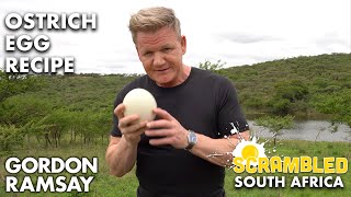 Gordon Ramsay Makes OSTRICH Scrambled Eggs In South Africa  Scrambled [upl. by Olegnad]