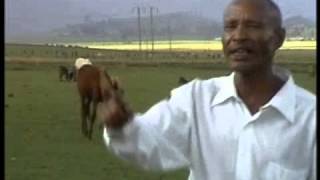 Fandishe Mullata Oromo Music  Sumaani Booya [upl. by Ahsim]