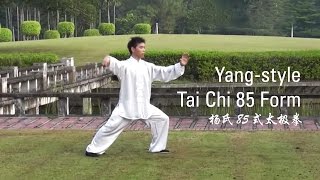 YangStyle Tai Chi 85 Form  Part 1 杨氏85式太极拳 [upl. by Naret478]