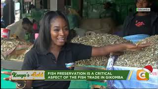 Kenyas Gold  Fish Preservation in Gikomba  Gold Feature [upl. by Siramad550]