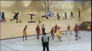 Chiamaka Browne Point Guard Highlights 2017 [upl. by Raven]