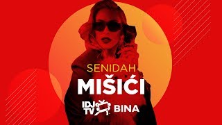 SENIDAH  MISICI LIVE  IDJTV BINA [upl. by Abisha]