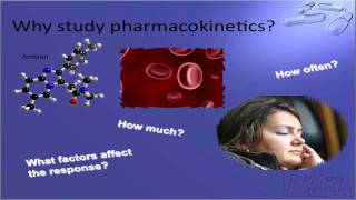 Introduction to Pharmacokinetics [upl. by Idac71]