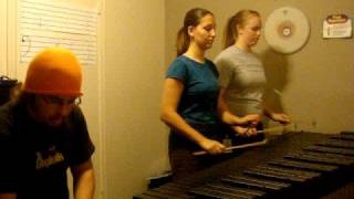 DragonForce Through the Fire and Flames Marimba [upl. by Clementina]