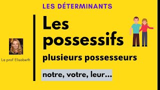 Les déterminants possessifs avec plusieurs possesseurs en français Niveau A1 [upl. by Oine704]