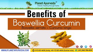 Benefits of Boswellia Boswellia serrata  Curcumin Curcuma longa [upl. by Levenson]