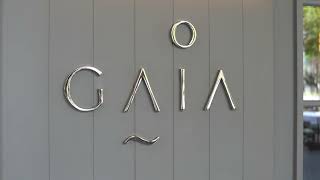 Greek  Restaurant  GAIA  Dubai [upl. by Malonis]