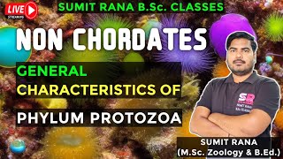 Phylum Protozoa General Characteristics  Non Chordates [upl. by Widera]