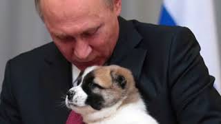 Vladimir Poutine et la quotdiplomatie du chienquot [upl. by Benjamen]