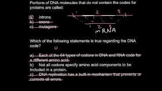 Introns exons and codons [upl. by Airotal]