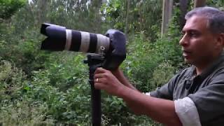 Photography Shooting Technique  Using a Monopod [upl. by Bianchi516]