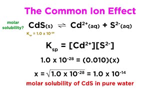 The Common Ion Effect [upl. by Aileahcim]