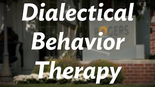 Rogers therapist gives an overview of Dialectical Behavior Therapy DBT [upl. by Doran]