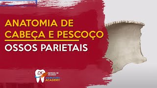 Ossos Parietais  ANATOMIA DE CABEÇA E PESCOÇO [upl. by Auka]