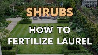 How to Fertilize Laurel [upl. by Wittenburg857]