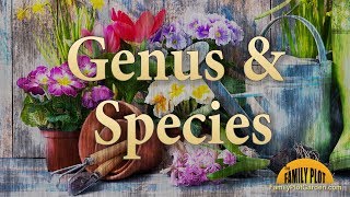 Genus and Species – Garden Glossary [upl. by Cordelie]