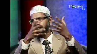 Dr Zakir Naik on Shahrukh Khan [upl. by Ahsenom188]