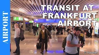 TRANSIT WALK AT FRANKFURT Airport FRA Terminal 1  Connection Flight Transfer Arriving amp Departing [upl. by Corder]