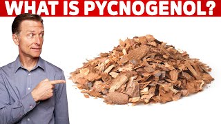 What is Pycnogenol [upl. by Akinahs614]