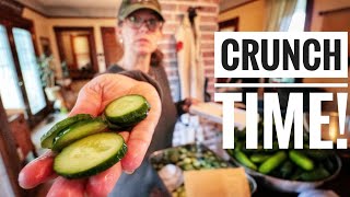 HOW TO KEEP PICKLES CRISP  Canning Dill Pickles [upl. by Jed731]