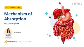 Pharmacokinetics Absorption and Distribution [upl. by Sherris]