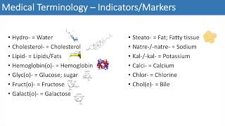 Medical Terminology  The Basics  Lesson 3 [upl. by Perloff]