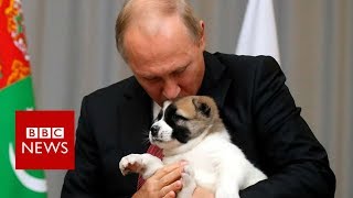 Putin got a puppy from Turkmenistan for his birthday  BBC News [upl. by Eekram]